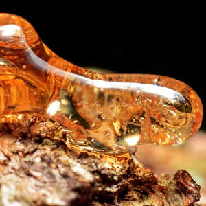 Ambergris
