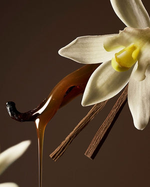 Vanilla