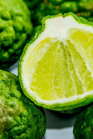 Carabian Bergamot 